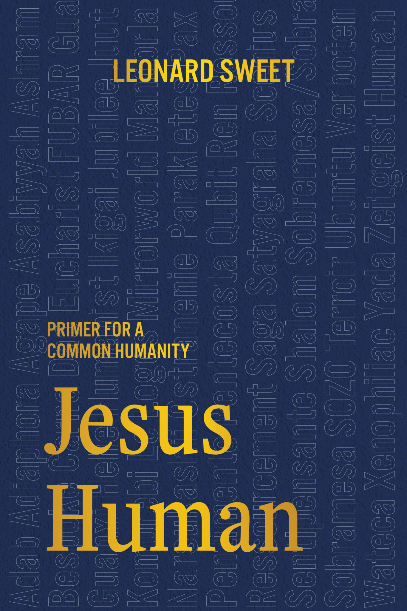 Home - Leonard Sweet of Spirit Venture Ministries